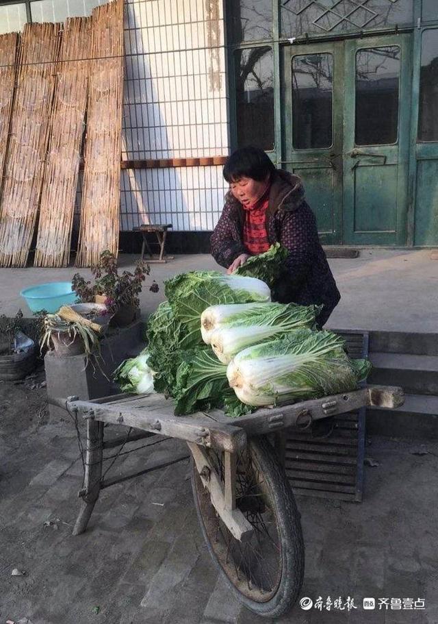 情报站｜粉皮不怕巷子深！德州时集的崔庄粉皮，是藏在坊间的美味