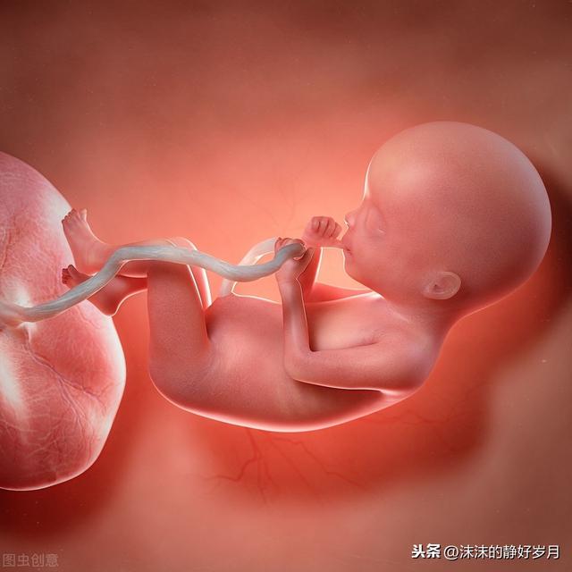 思念淡如水|孕妈妈常摸肚子，会导致胎宝宝脐绕颈？还是听听专家的解释吧