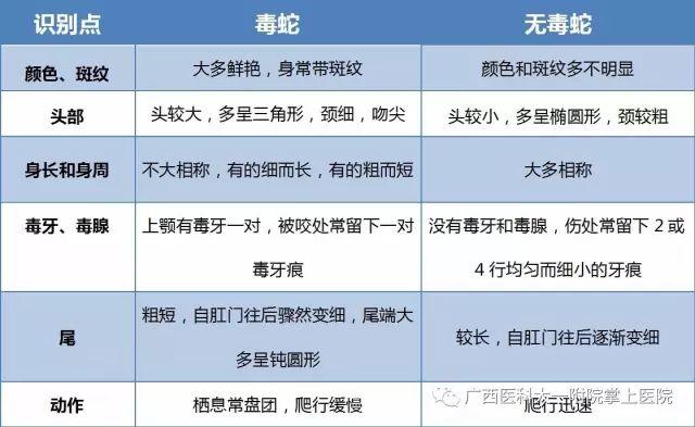 毒蛇|广西男孩全身出现多处瘀斑被送ICU！事后才知道…