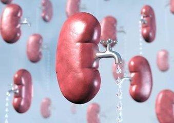 二甲双胍|降“三高”的药物里，哪些可以降尿酸？