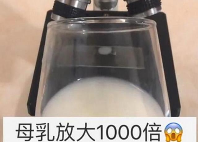 超级宝妈|母乳被放大1000倍后，显微镜下的世界展现眼前，让人难以置信