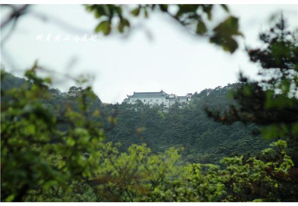 在路上▲天下第一奇山,风景优美奇松怪石,游客慕名而来