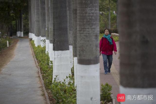 小寒时节注意“防五寒”！专家教你常用中药补阳驱寒