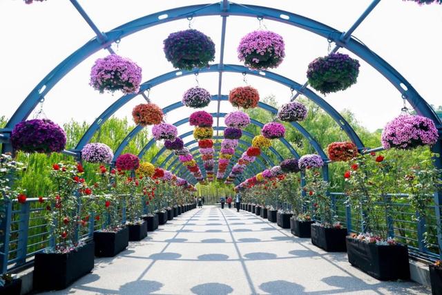 上观新闻|藏太深,原来《微微一笑很倾城》等热门影视剧取景地都在这些公园里