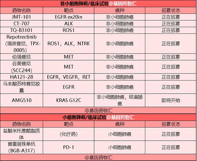 肺癌免疫治疗大阅兵！5年生存率翻三倍，“长生”的机会终于到来