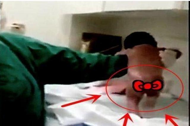 「你的育儿经」“最灵活新生儿”走红，脐带还没剪就想跑，宝妈刀口都差点笑裂了