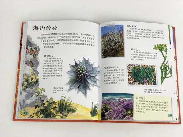 「超级宝妈」如何应对孩子“十万个为什么”？无需真物演示，就能领略生命之美