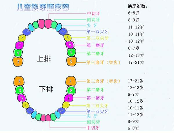 思念淡如水|孩子长了“双排牙”要立即拔吗？父母不注意，孩子要受苦了