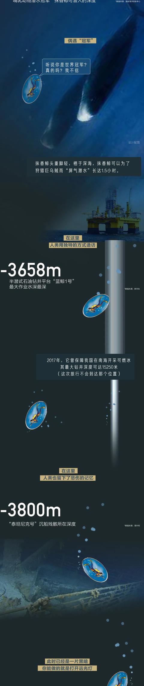 #旅行百事通#【世界海洋日】海底最深处能看见什么