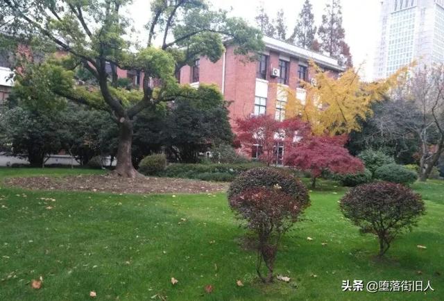 《最强大脑》蒋昌建头发花白,费了多大脑力,才能收获多大成功|fun娱乐