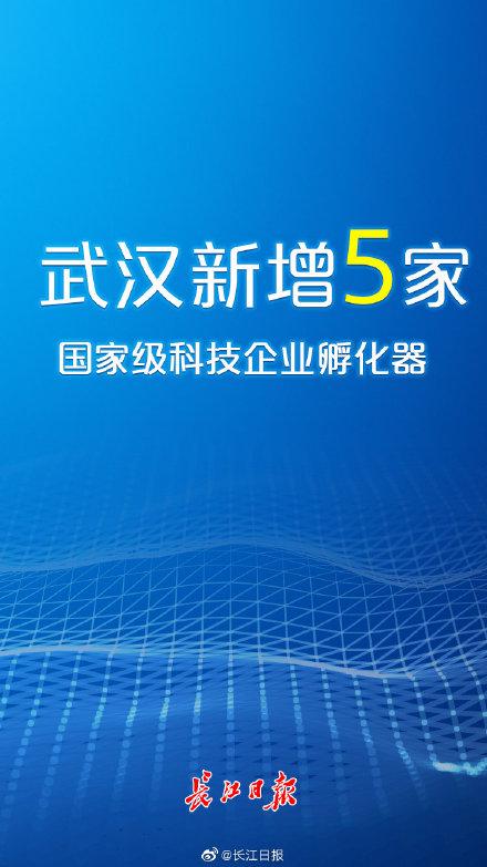 孵化器|国家级，武汉又新增5家