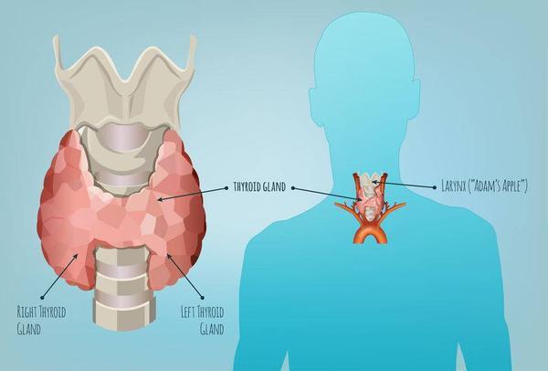 甲状腺结节是良性还是恶性？甲状腺自己也会“告诉”你，需了解