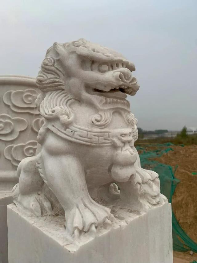 「世界那么大」盘点濮阳颜值最高的三座桥，每一座都美轮美奂