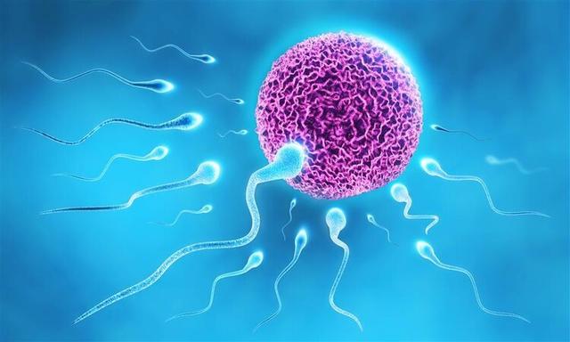 “精子”进入女性身体后，出现这5个异常，恭喜你受孕成功