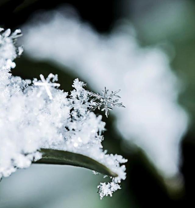 寒气所薄凝而为雪，小雪节气，推荐养生药膳