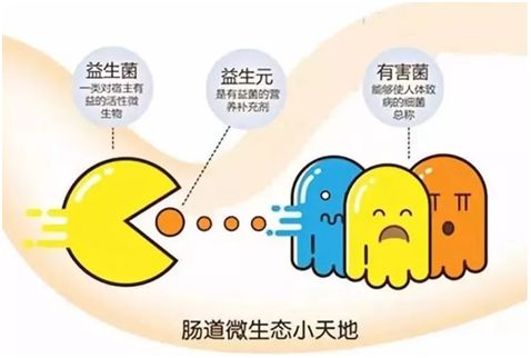 夕阳下的彩虹▲这样喂饭就是害了娃，现在补救还来得及！