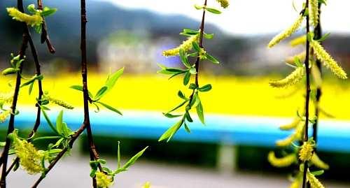 玩乐足迹■是心动呀！铜仁江口德旺“美色”根本藏不住