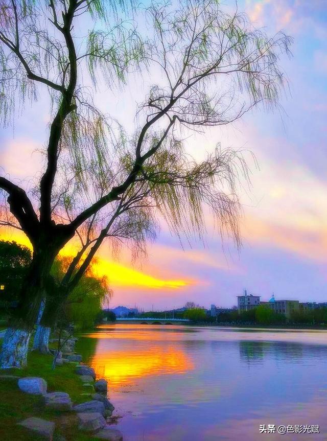 玩乐足迹@“疫”去春来 古城春色新