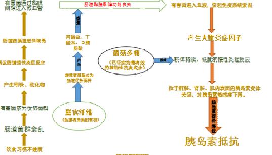 2型糖尿病案例：肠道菌群重建一周，血糖从9到6，体重减少4斤