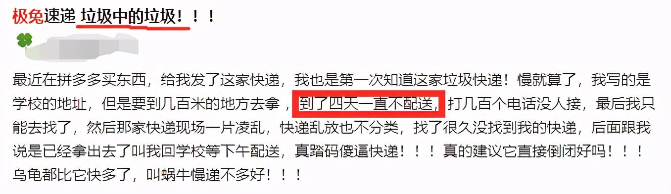 一只印尼兔子搅乱快递江湖，三通一达还能继续安稳吗？