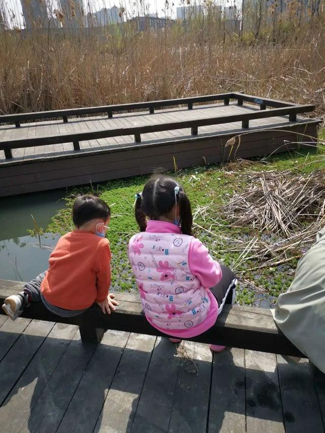 「你的育儿经」来自南京幼儿园的“春天散文诗”