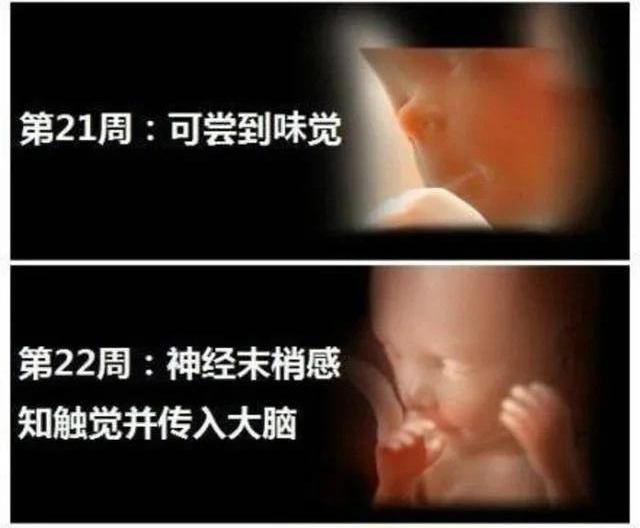[你的育儿经]怀孕6个月的胎宝宝是什么状态？孕妈有这些变化，正确应对是关键