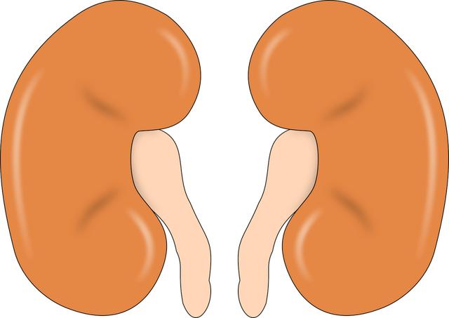 消化系统症状原来是肾癌作怪