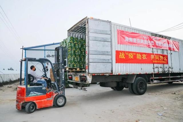 经济之声▲互联网抗“疫”进行时：滞销果蔬的“逆袭”之旅