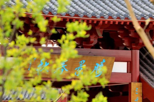 浮生忘流年:在这里,遇见最美的邢台