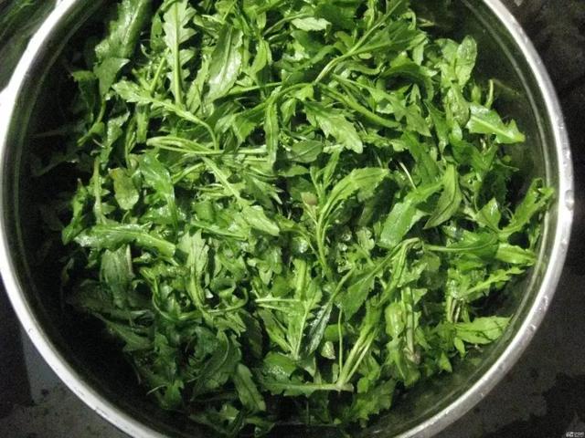 春天|冬末春初百病起，想要疾病不粘身？趁早吃点“苦”，