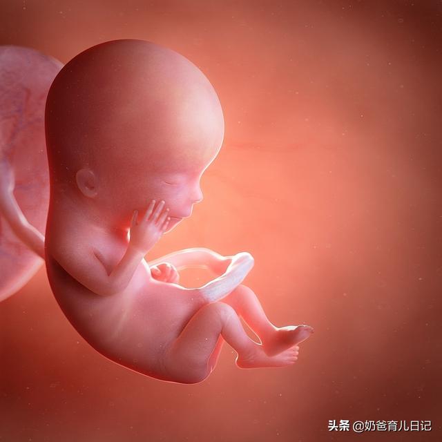 [你的育儿经]脐带绕颈是什么？影响顺产么？