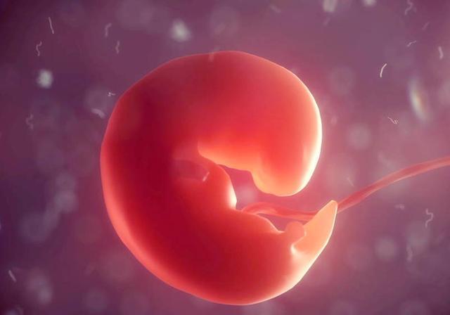 「你的育儿经」胎动最早什么时候出现?不是16周,而是这个孕周,孕妈要心里有数