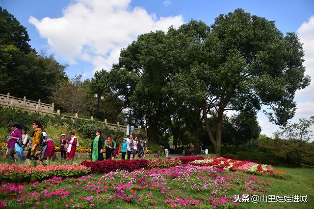 荒芜人烟的野草，看着美丽的花朵