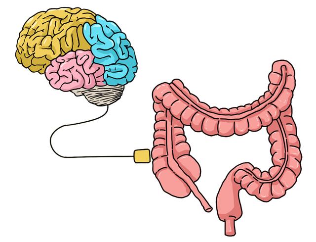 人体内有数以亿计的细菌，对健康有何影响？不仅是调血脂、控血糖