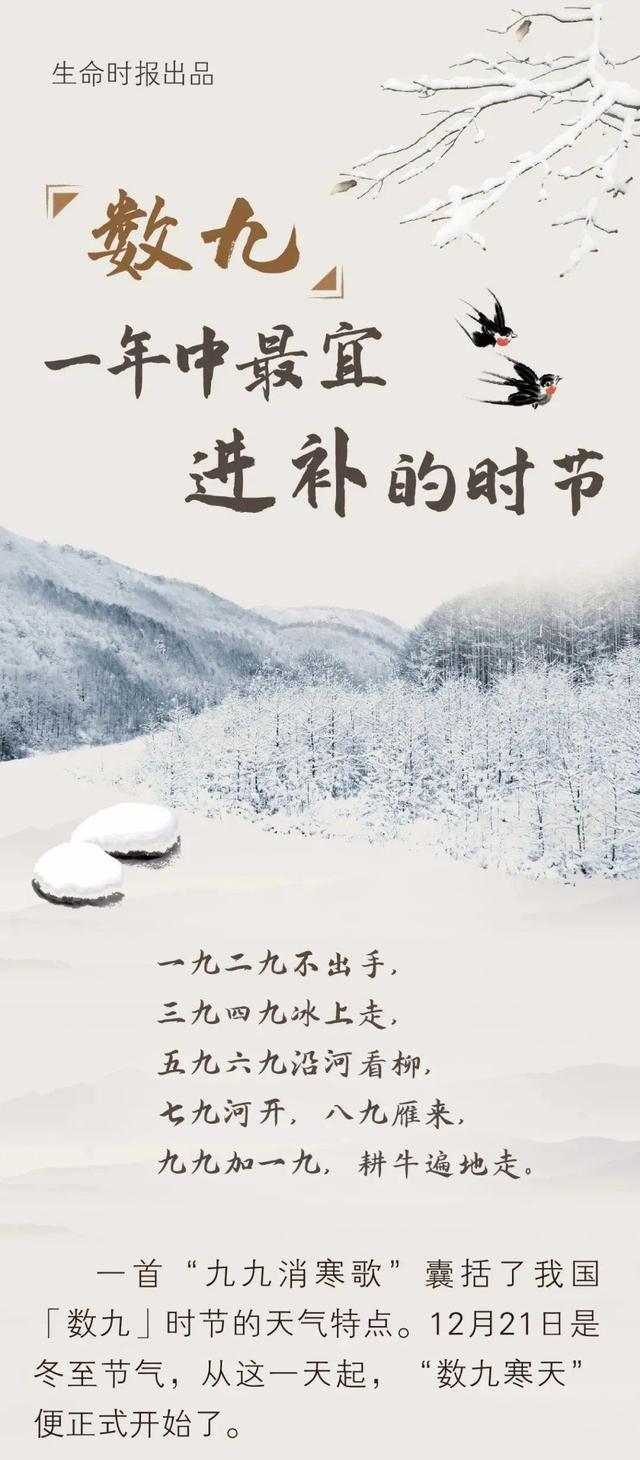 最宜进补的「数九天」到了！中医教4种体质对症调养