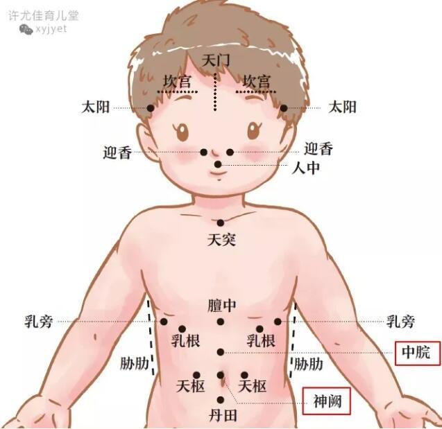 你的育儿经|夏天湿热还用艾灸给宝宝驱寒？认准这四个穴位