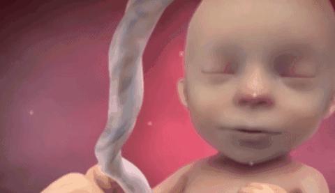 【你的育儿经】准妈妈在睡觉的时候，胎宝宝在干什么呢？没成想这样可爱