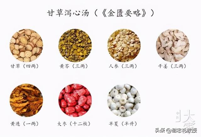 大医张仲景名方——甘草泻心汤