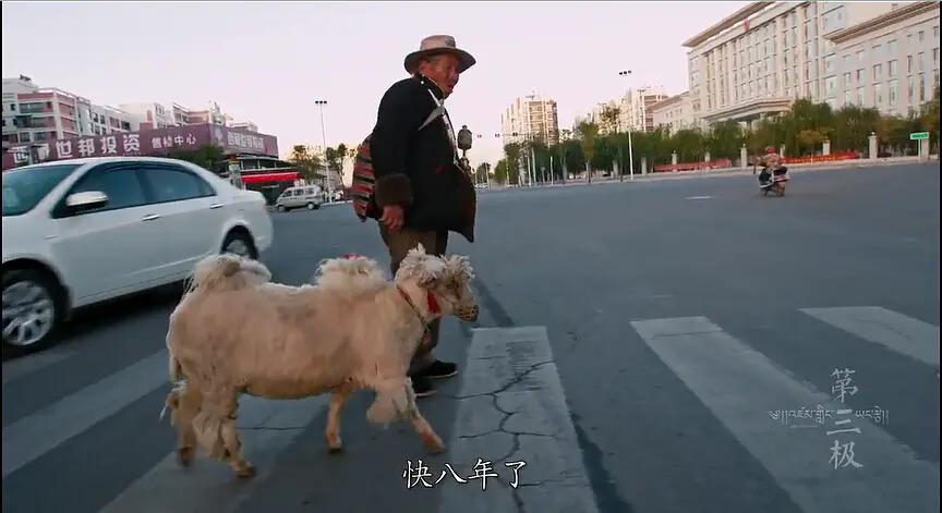 「文字上的青年」8部国产纪录片，让孩子深深认识到中国有多美！适合假期一起看
