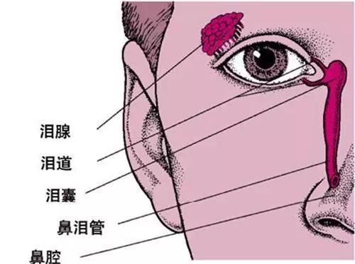 『你的育儿经』宝宝眼泪多、眼部分泌物多、眼周湿疹，如何轻松在家搞定