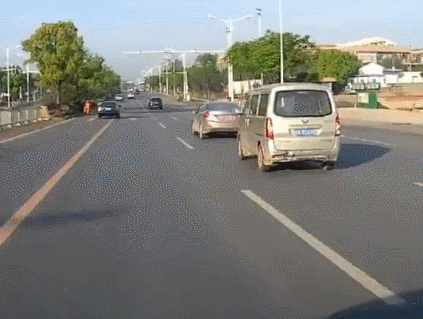 遇见翻栏杆马路的行人,你觉得该停车礼让吗?