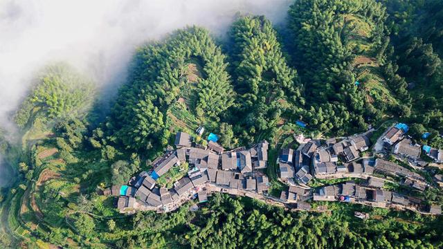 「你的育儿经」我的上海亲子游，不去传统景点，这些地方全是孩子喜欢的