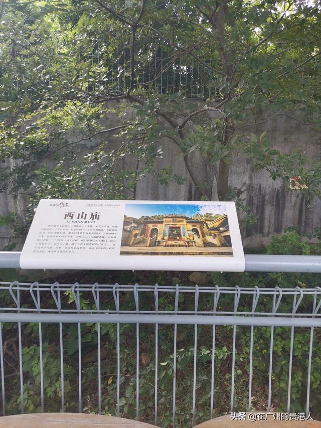 【山楂味的诗】走马观花，看顺德大良。