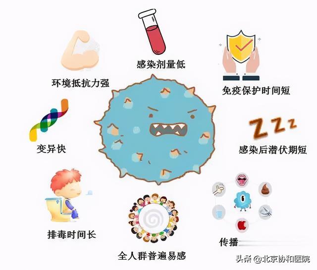 恶心、呕吐、腹痛和腹泻？小心病毒界的“百变星君”——诺如病毒