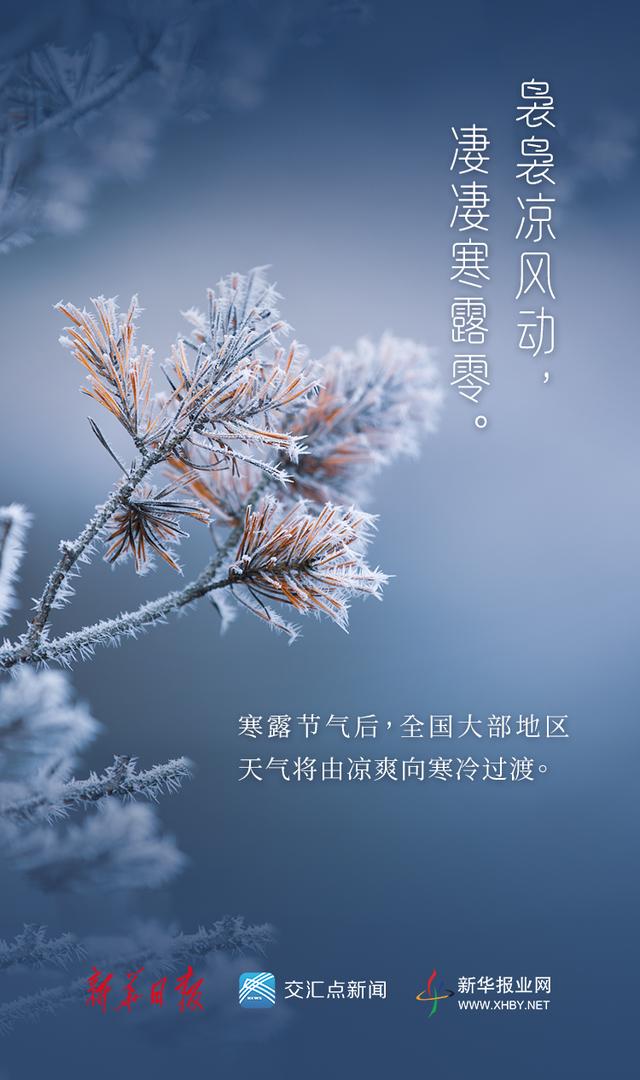 今日,寒露