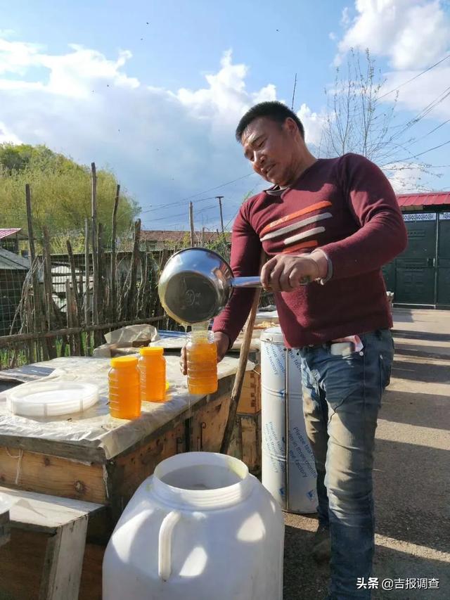 吉报调查聚焦靖宇县脱贫攻坚:产业项目如花绽放,贫困户致富的希望就在眼前