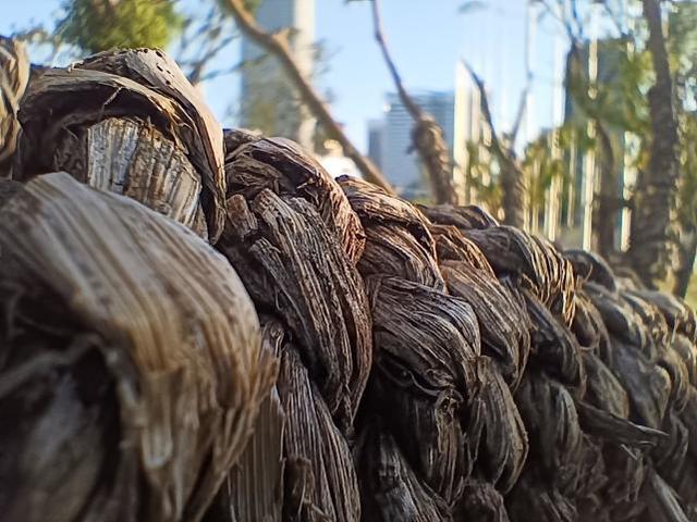 realme真我Q2评测：高刷与长续航兼顾的5G手机普及者