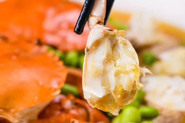 松江人，还没想好年夜饭去哪吃？看这篇文章就够啦→