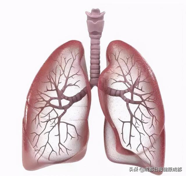 气管|除了肺结核 你对气管支气管结核了解多少？