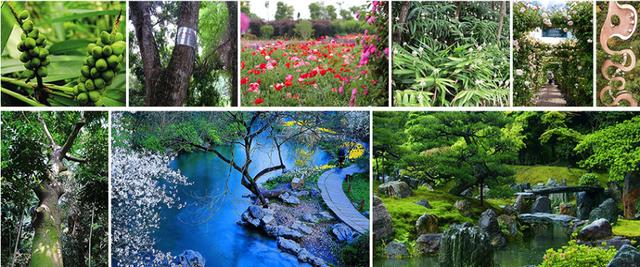 「世界那么大」无敌花海、岭南风情水街、五星级酒店...珠海这个大项目要来了